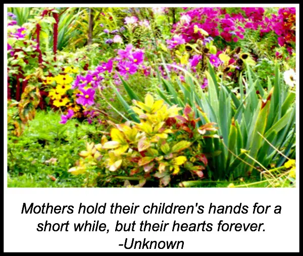 mother day quotes images