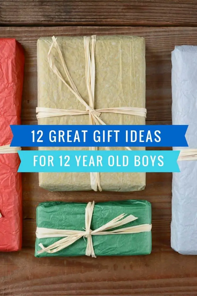 12 Great 12 -Year-Old Boy Gift Ideas (video games, books, experiences & more)