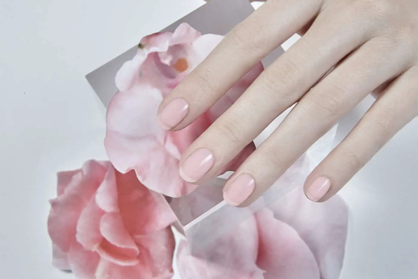 summer nail colors - Blush: a soft, sheer pink