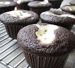 judys-black-bottom-cupcakes