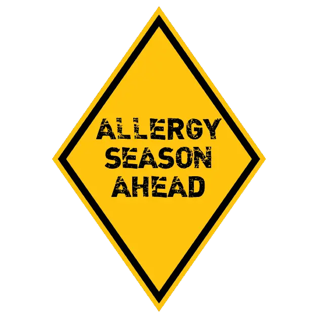 3 Easy Ways to Distinguish Allergies from Colds 
