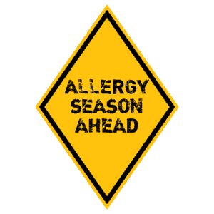 3 Easy Ways to Distinguish Allergies from Colds