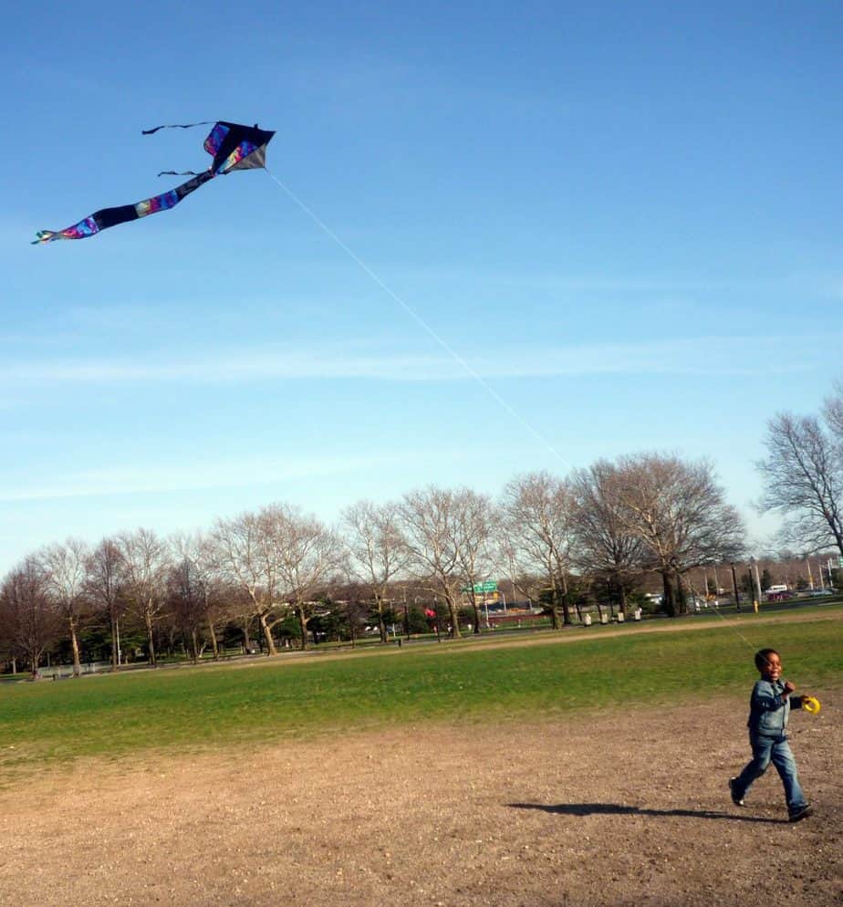 summer fun for families 2020 ideas - flying kites