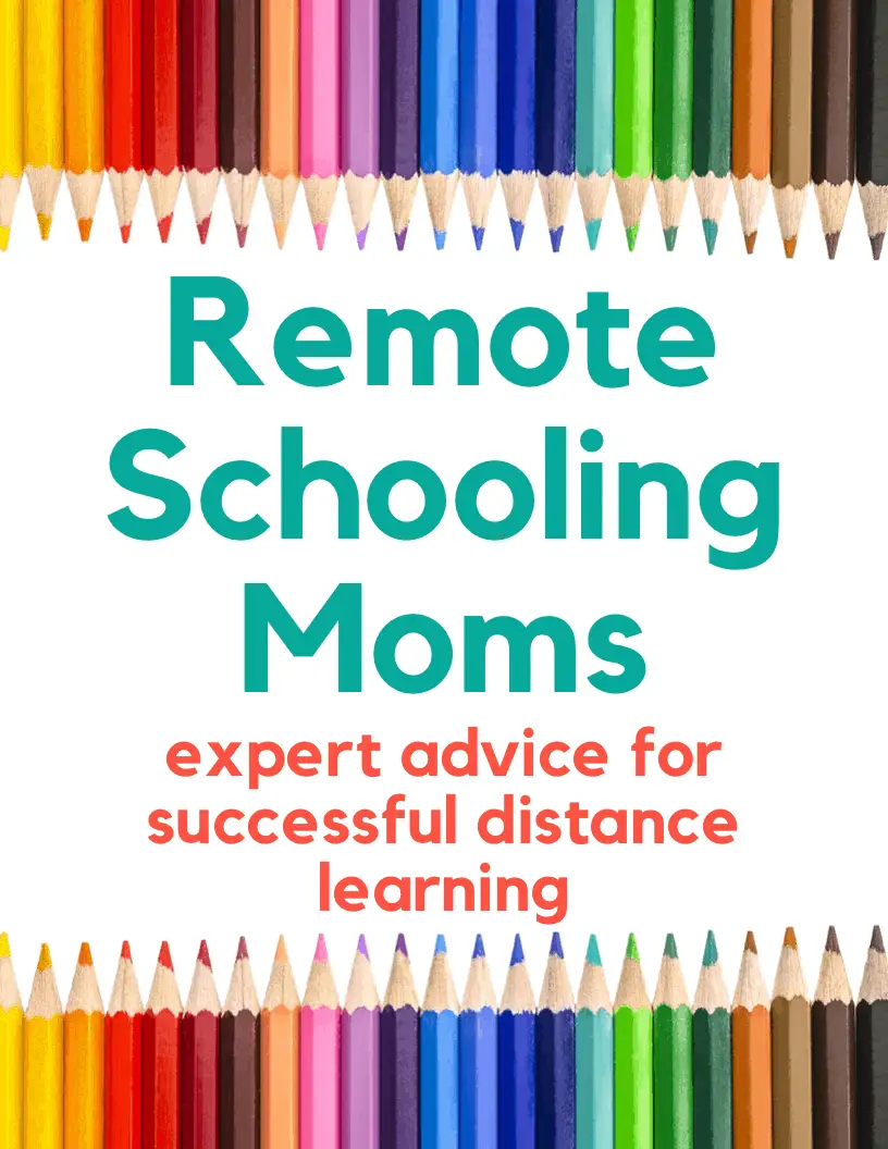 Remote Schooling Moms: Expert Advice for Succesful Distance Learning - FREE 50-page eBook