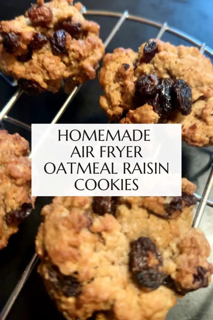 homemade air fyer oatmeal raisin cookies