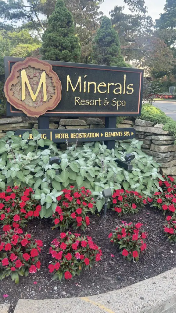Minerals Hotel Review