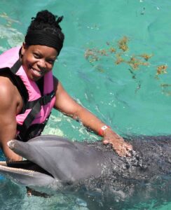 dolphins in dominican republic